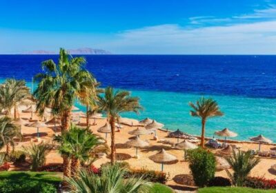 sharm el sheikh flughafen transfer